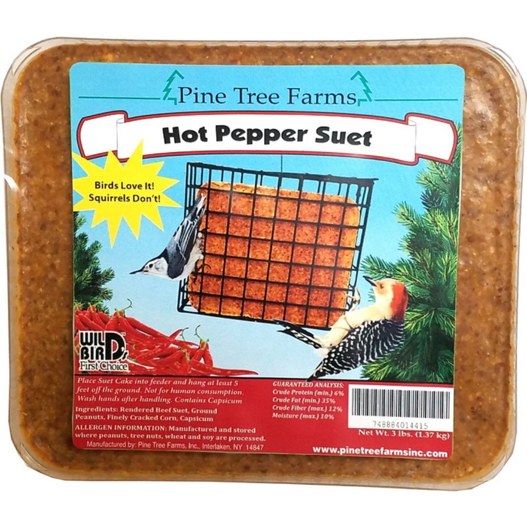 8/3# HOT PEPPER SUET