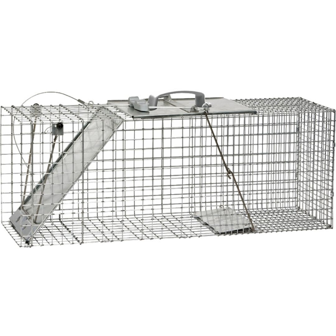 EZ SET LARGE LIVE TRAP/1085