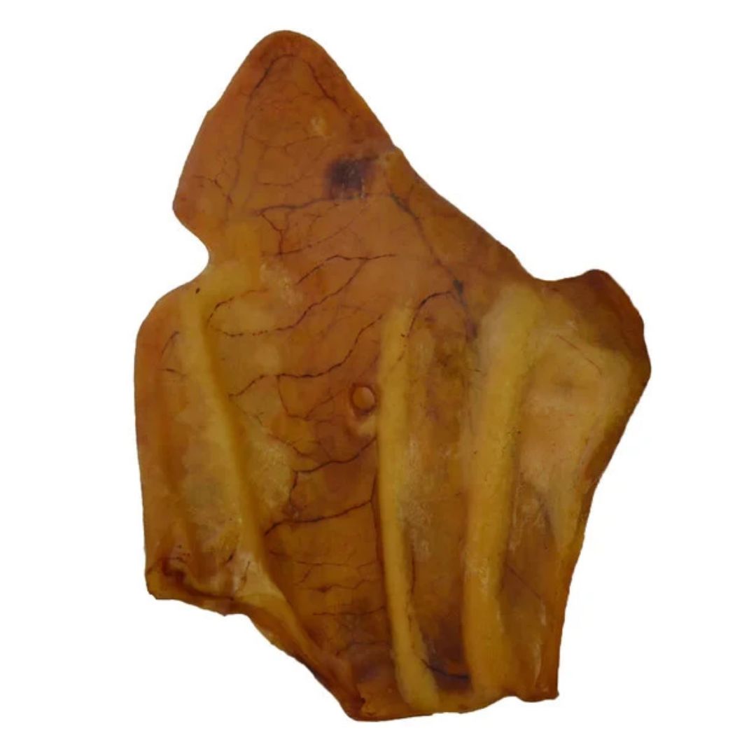 PREMIUM PIG EARS/REGULAR/100CT