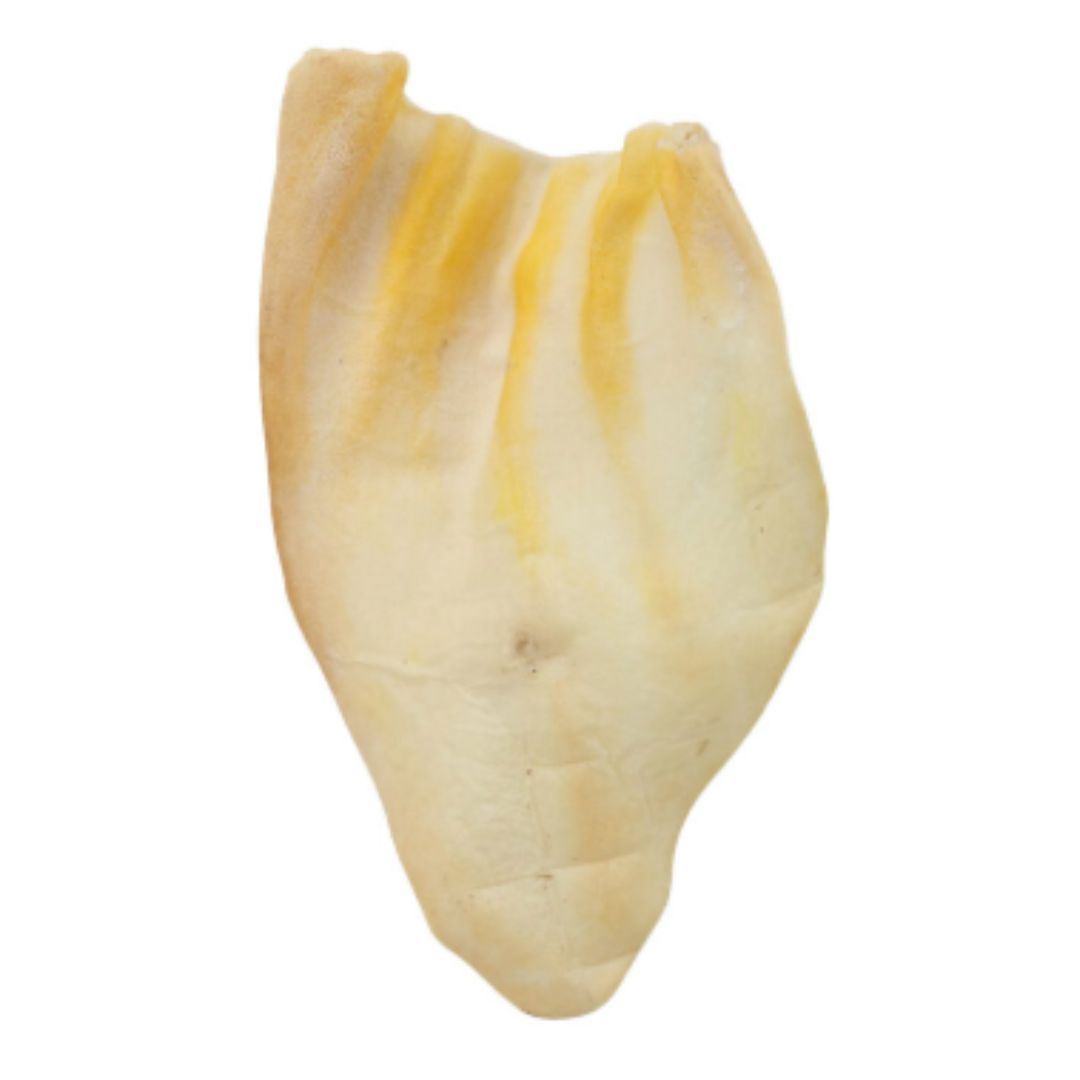 PLAIN JUMBO COW EARS/40CT