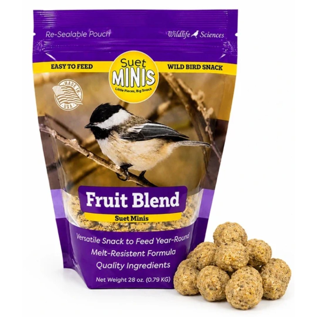 28OZ WLS SUET MINIS FRUIT BLEND