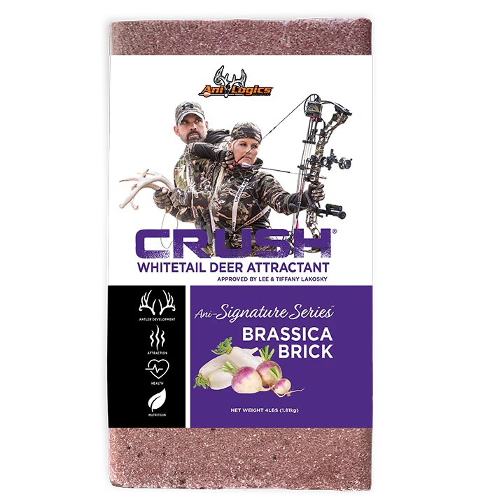 4# ANILOGICS BRASSICA BRICKS