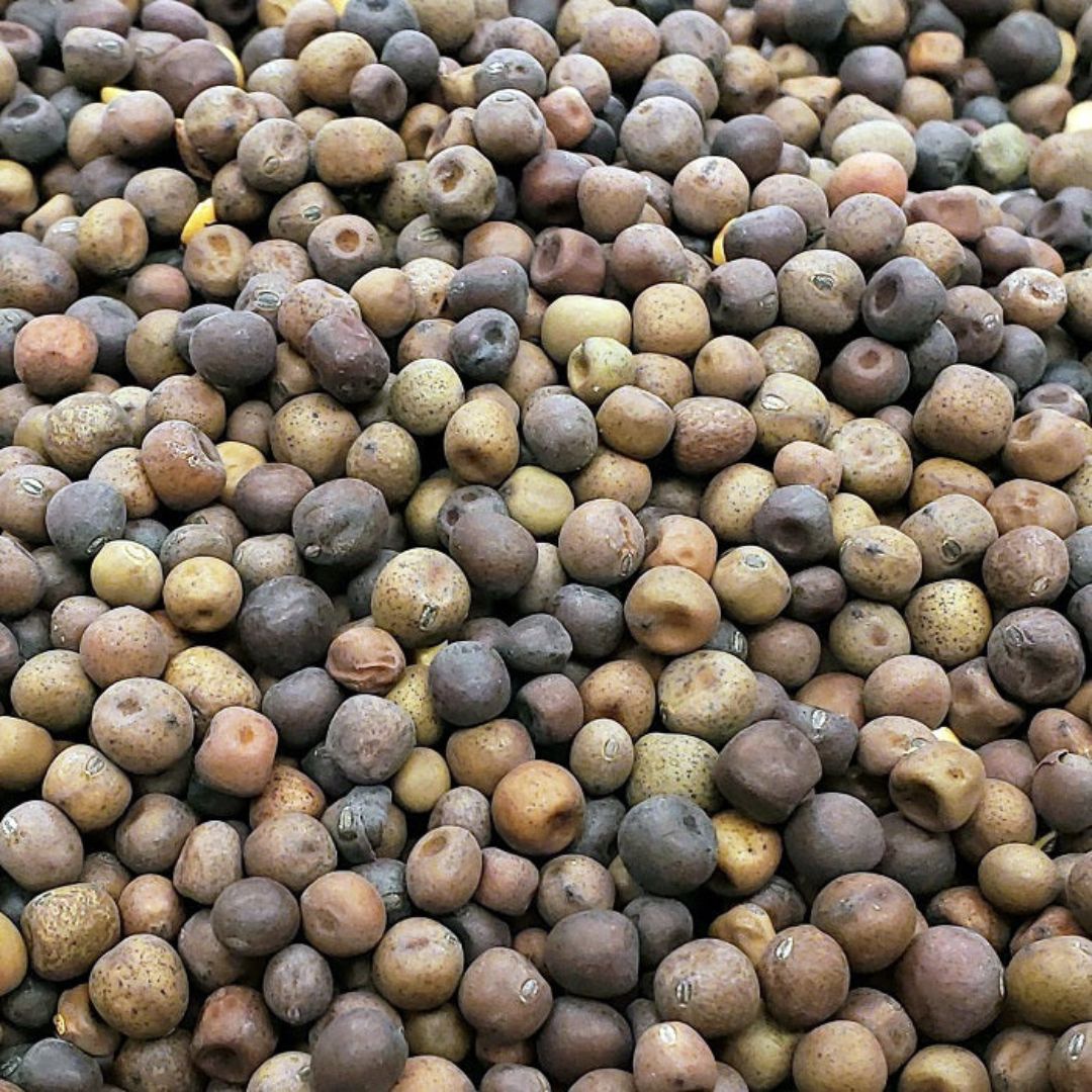50# AUSTRIAN FEED PEAS
