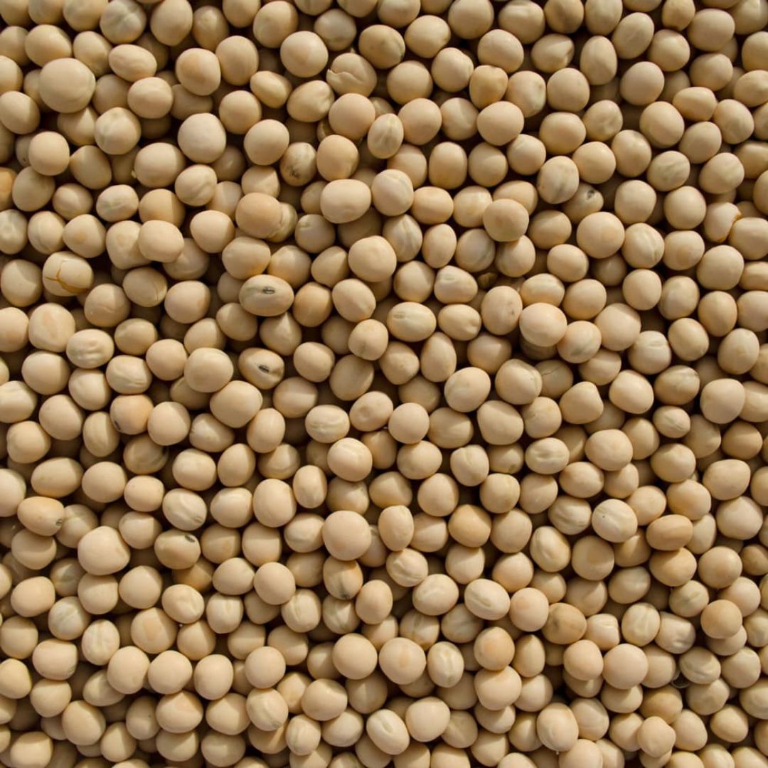 50# YELLOW FEED PEA