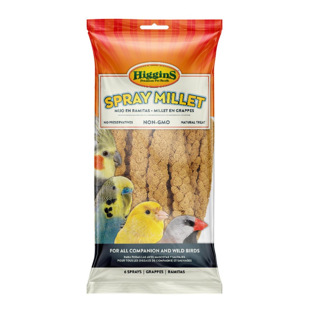 24/6ct HIGGINS SPRAY MILLET