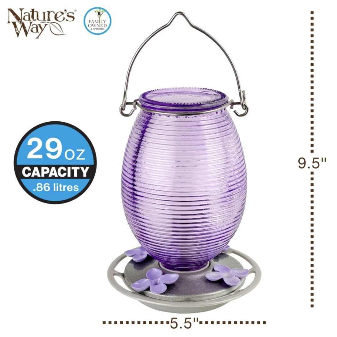 6/CS NW HUM LILAC DREAMS GLASS