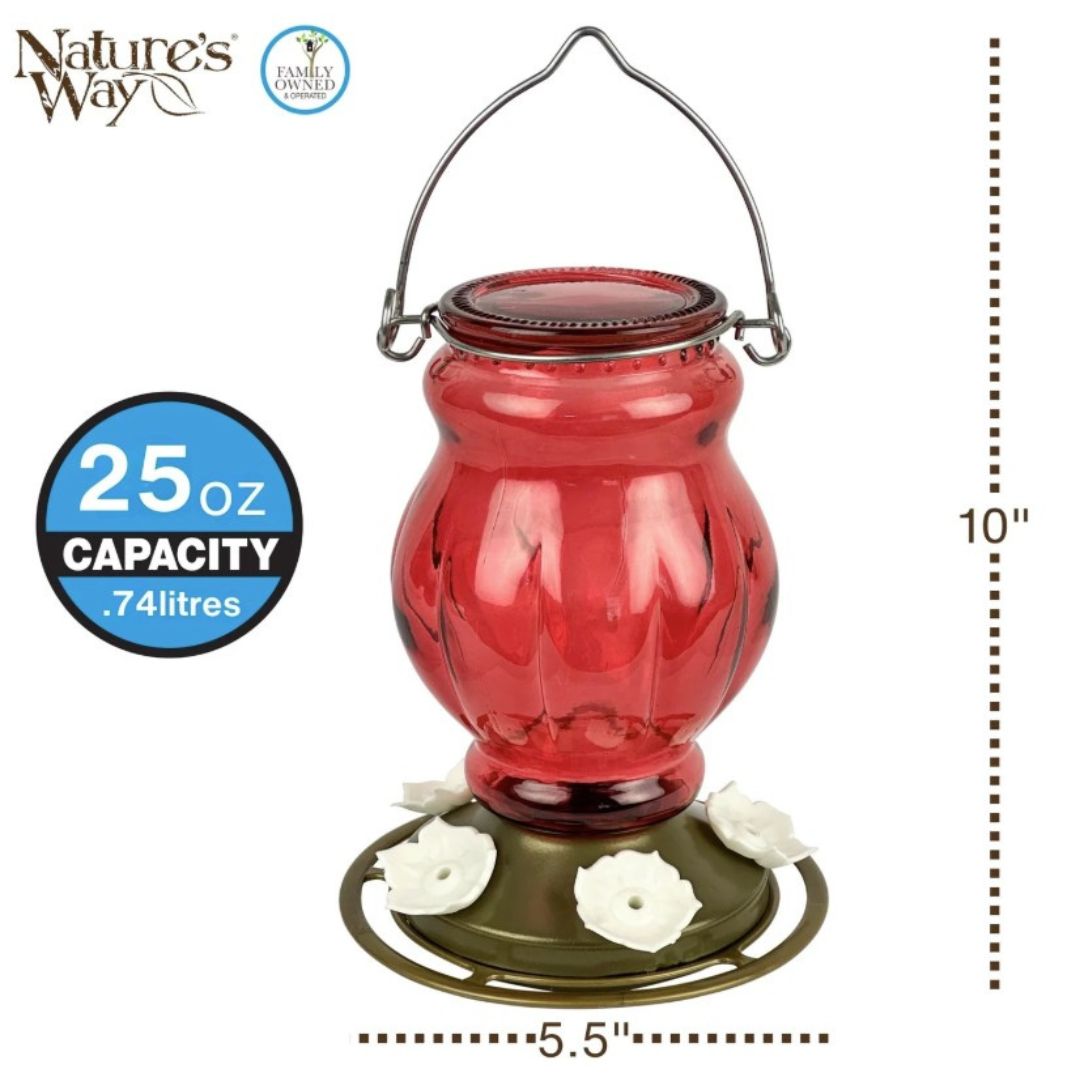 6/CS NW HUM RUBY VISIONS GLASS