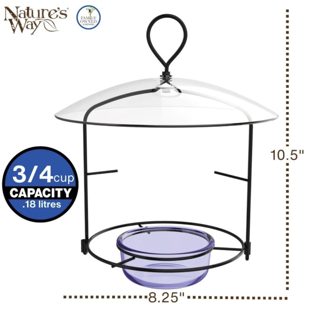 4/CS NW BLUEBIRD BUFFET