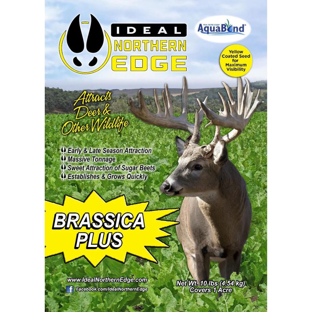 10# INE BRASSICA PLUS MIX