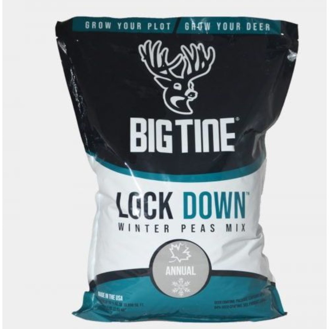 8.5# BIG TINE LOCK DOWN WINTER PEAS