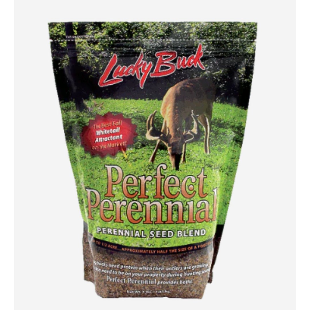 4# LUCKY BUCK PERFECT PERENNIAL