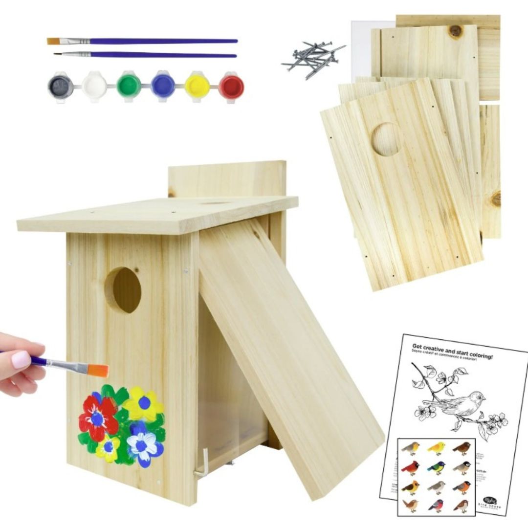 8/CS NW DIY MY FIRST BIRDHOUSE