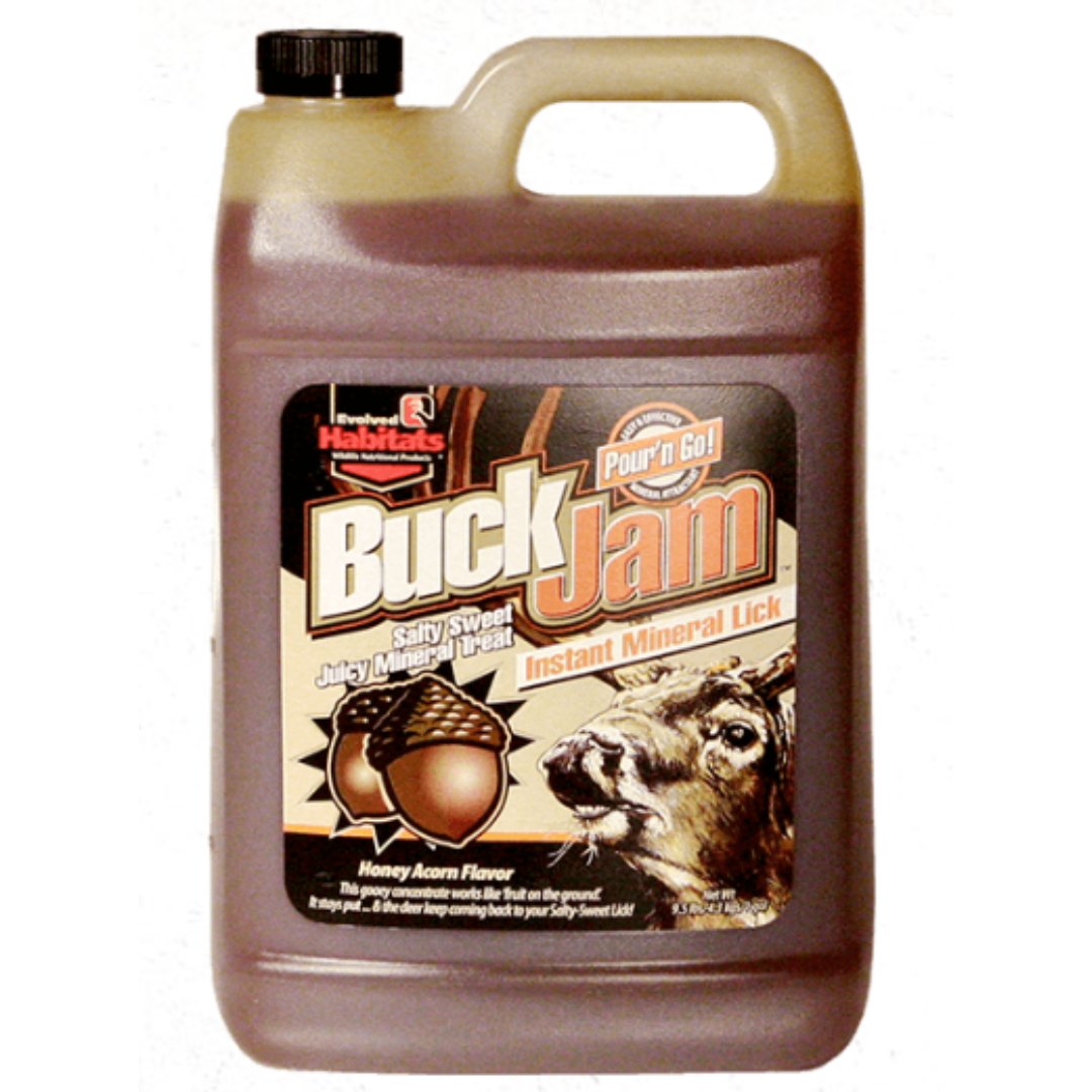 GAL BUCK JAM HONEY ACORN