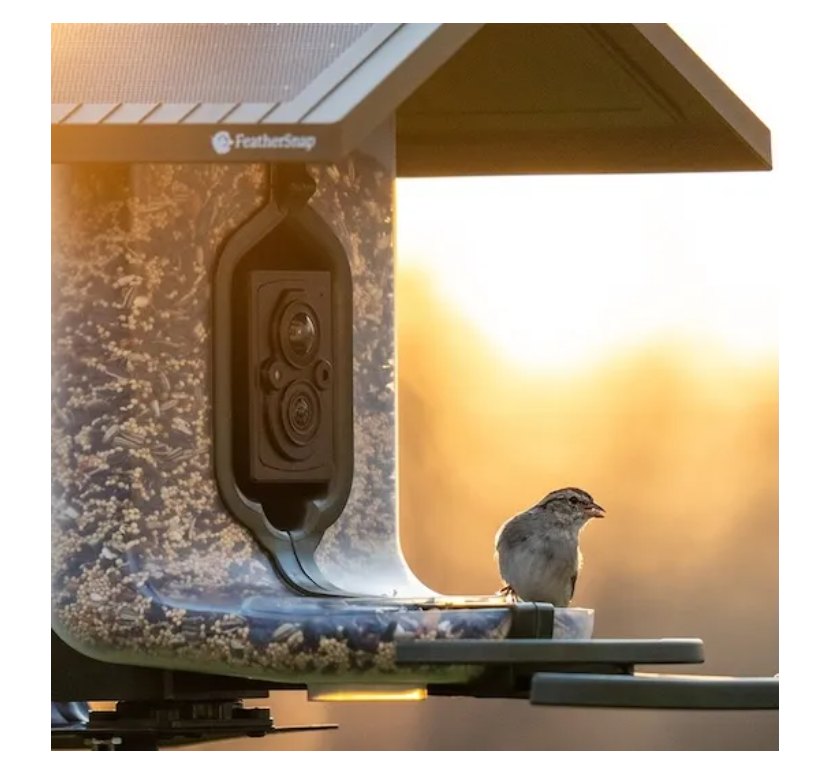 FEATHERSNAP SCOUT FEEDER thumbnail 2