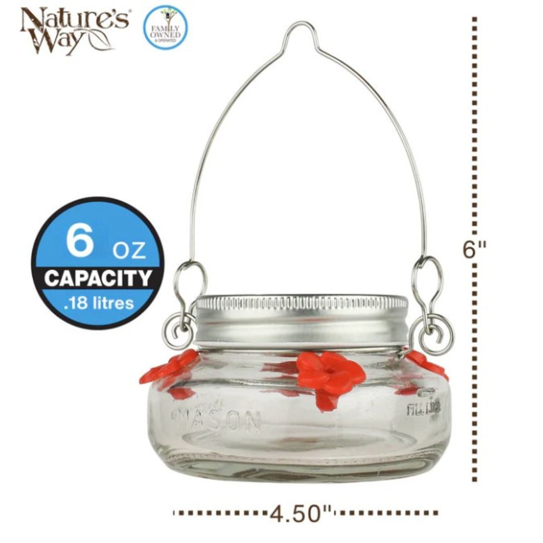6/CS NW HUM GLASS MASON JAR
