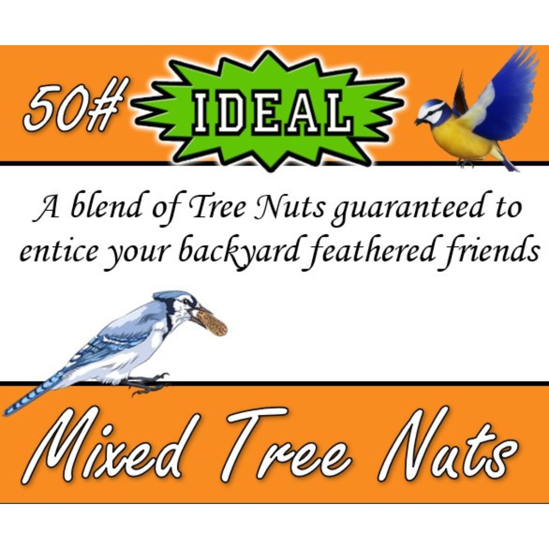 50# IDEAL MIXED TREE NUTS