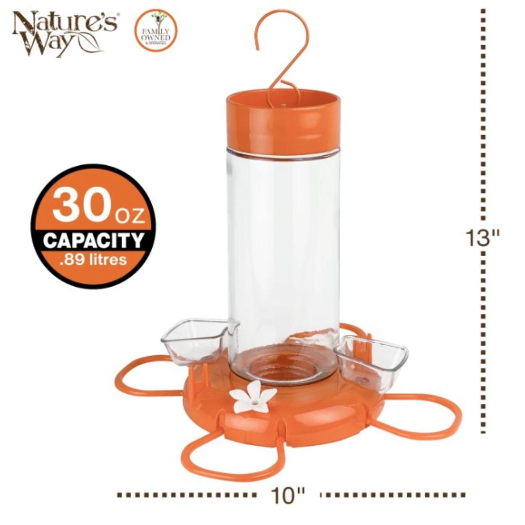 6/CS NW ORIOLE ORANGE BLOSSOM