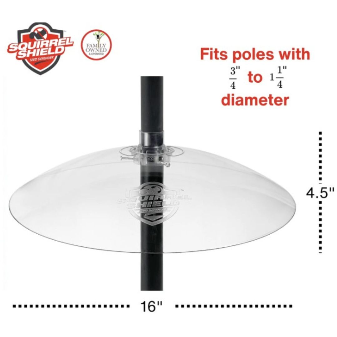6/CS NW CLEAR SQUIRREL BAFFLE